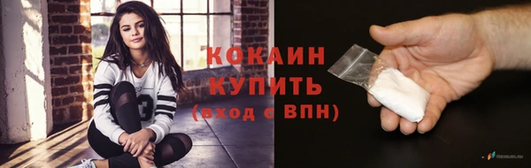 mdpv Богородицк