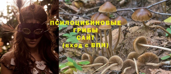 дмт Богородск