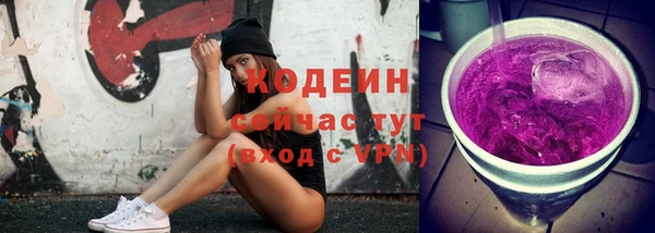 дмт Богородск